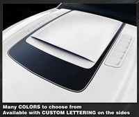 Ford Mustang 2013-2014 Accent Decal Stripe Around Hood Scoop RSH8
