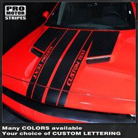 2008 2009 2010 2011 2012 2013 2014 2015 2016 2017 2018 2019 Dodge Challenger hood Decals Stripes 152588451880-1