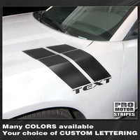 2011 2012 2013 2014 2015 2016 2017 2018 2019 Dodge Charger hood
 side Decals Stripes 132343103279-1