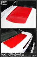 2005 2006 2007 2008 2009 2010 2011 2012 2013 2014 2015 2016 2017 Ford Mustang hood
 trunk Decals Stripes 122608412255-2
