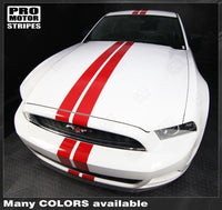 2005 2006 2007 2008 2009 2010 2011 2012 2013 2014 2015 2016 2017 Ford Mustang hood
 trunk
 bumper
 roof Decals Stripes 122551585437-1