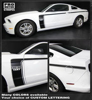 2005 2006 2007 2008 2009 2010 2011 2012 2013 2014 Ford Mustang side
 door Decals Stripes 132229428685-1