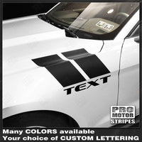 Ford Mustang 2005-2023 Fender Hash Side Accent Stripes